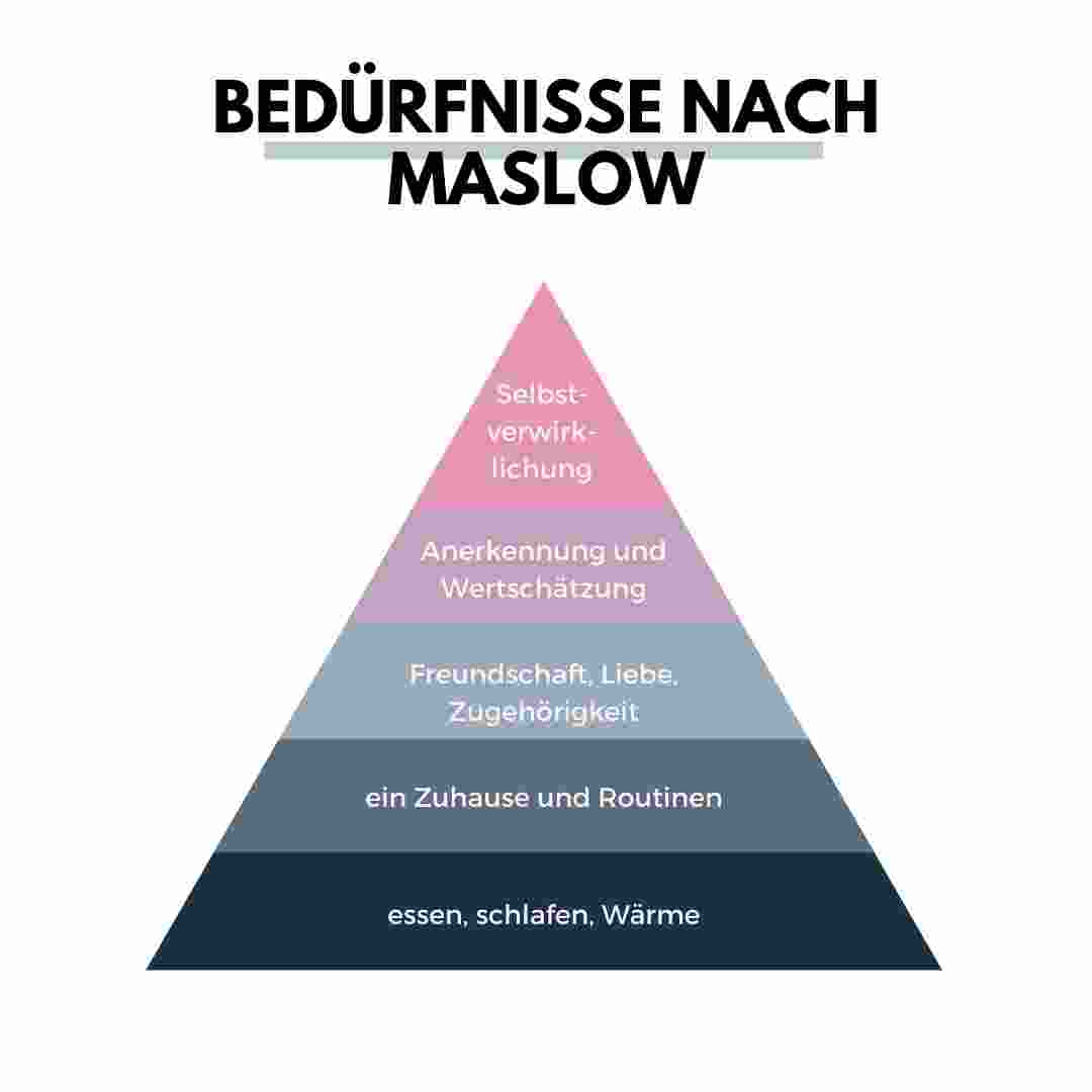 Maslowsche Pyramide