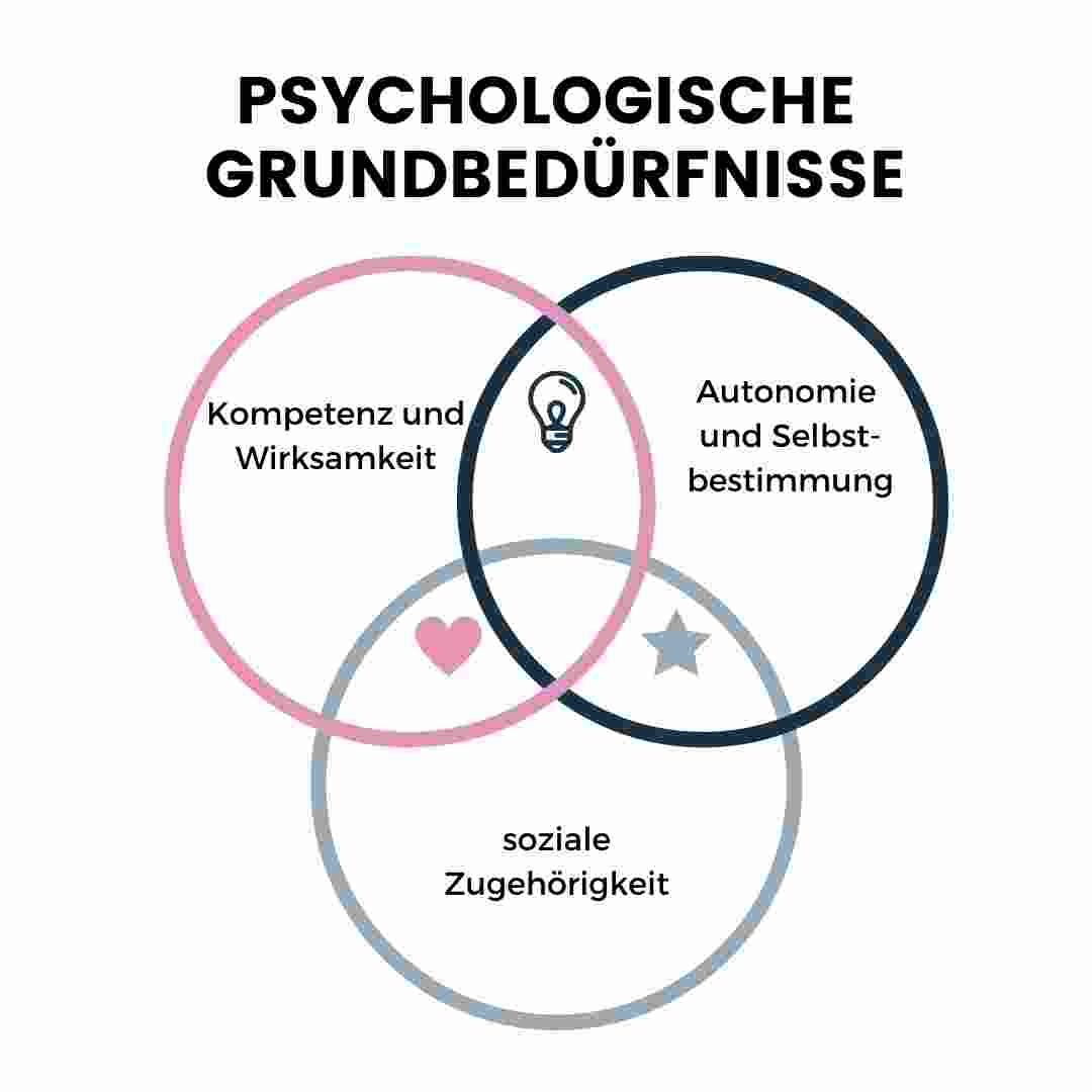 psychologische Grundbedürfnisse